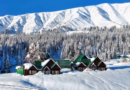 Amritsar to Kashmir Complete Tour: Srinagar, Gulmarg & Pahalgam