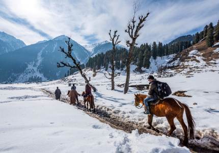 Kashmir Taxi Rental Service