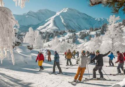 Manali Taxi Rental Service