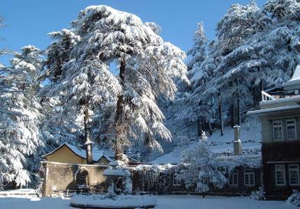 Shimla Taxi Rental Service