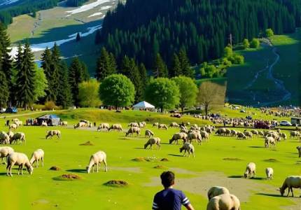 Chandigarh to Kashmir Valley Explorer