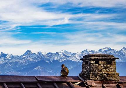 Dalhousie Taxi Rental Service
