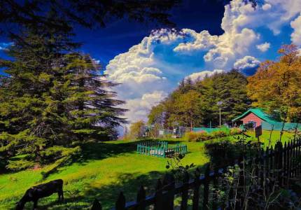 Spiritual Circle: Amritsar-Dalhousie-Dharamshala