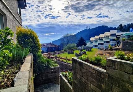 Amritsar to Hills: Shimla, Manali & Chandigarh